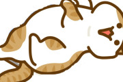 道を歩いてると通せんぼして撫でてアピールし続ける日本の猫　【海外の反応】