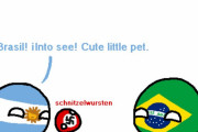 【南米】南米のペット【ポーランドボール】