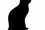警察に捕まった海外の泥棒が「猫」から屈辱を与えられる