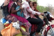 外国人「ツッコミどころが多いインドの画像を集めてみたｗｗｗｗ」