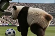 中国人「サッカー日本代表、イケメンは正義」　中国人「中国代表は顔でも実力でも勝てない」「日本のイケメンは芸能界ではない場所にいる」