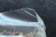 友だちが日本からジャーキーっぽい食べ物を持ち帰ったんだが・・・←「酒のつまみだ！」（海外の反応）