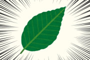 外国人「日本のアーティストが1枚の葉っぱを芸術に昇華している！」
