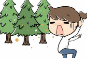 これが日本の樹齢800年の木だ！　“観光客が台無しにするから場所は言うな！”　【海外の反応】