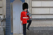 記録的な猛暑のイギリスで近衛兵が悲鳴…警官が水を飲ませてあげる