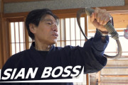 現代の忍者が伝える「世界よ、これが忍者だ！！」