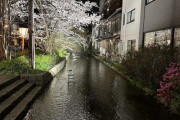 外国人「今まさに日本旅行しているので写真を見せていく！」京都編
