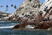 【海外】「鳥の糞が支えた小さな海岸王国の秘密とは？考古学者が明かした驚きの発見！」