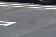 【画像】スマホみたいな車見かけました