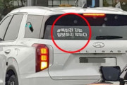 【韓国の反応】「日本車には譲歩しない」…日本車への警告を巡る論争。韓国の反応「あんな人たちが適当にいる社会も正常/腐った精神から目を覚ますべき。」