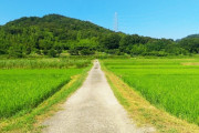 海外「日本の田舎って倉庫とか工場ばっかだよな？」日本の自然を感じたい外国人の質問