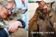 保護された赤ちゃんカンガル一が野生に帰るまで―とある夫婦の保護活動に奮闘する様子が愛で溢れてる―