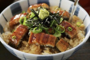 韓国人「想像を超越する日本人のウナギ愛を見てみよう」
