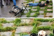 外国人「とんでもねー場所でリラックスしてる猫だけを集めてみた」