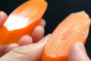 海外「シェフにとって大事」とびきりシャープな包丁と普通の包丁の切れ味の違いが、素材の断面で明らかに！