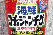 韓国人「日本の日清が作ったコチュジャンチゲラーメンがこちら…」