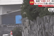【動画】韓国人「本当に起こった日本の平和な朝のライブがマジでヤバ過ぎた‥（ﾌﾞﾙﾌﾞﾙ」　韓国の反応
