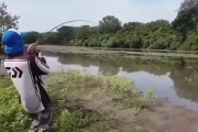 【動画】魚を釣ったらワニがついてきて慌てふためく青年たち