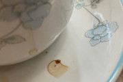 海外「コーヒーをこぼしたら 鳥みたいな形になった」　海外の反応