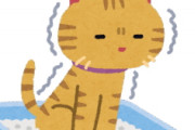 [韓国の反応]かりんとうをう◯ちと勘違いして、食べてる主を心配してくる猫のあまりの可愛さに韓国人も感動!「韓国ネット民]表情で十分すぎるほど伝わるんだな(笑)お前大丈夫かよ？？って