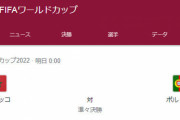 【FIFAワールドカップ】モロッコはマジで強かった・・・・・