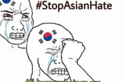 韓国人「東南アジアで広まっている嫌韓画像がこちら」