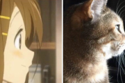 海外「縄文系の日本人なのでは？」『日本のアニメキャラ白人説』を論破する画像が話題に