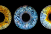 【海外】世界の目の色：各色の人口割合とは？あなたの目の色は何％の人と同じ？