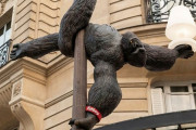 オランダ人「人を笑顔にしたくて作った公共アートを見せていく！」