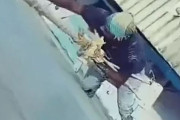 韓国人「命懸けで働く塗装工をご覧ください」