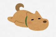 海外「ヨーロッパでは10年前にもう義務付けられていた」日本政府は今月から犬と猫の飼い主に義務付ける