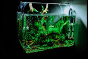 日本の「活魚バッグ」が見てるだけでワクワクする！魚を入れて散歩したい！【台湾人の反応】