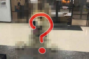 「迷子になった犬…自分で警察署に行く」警官もびっくりしながら撮影