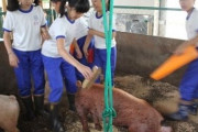 【画像あり】韓国人「日本の歴代級初等教育をご覧ください」→「日本は幼い頃から冷酷な現実教育をしますね」　韓国の反応