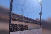 【海外】ひょうきんな小動物がネットに捕まるも、救出後に見せた愛らしい顔とは？
