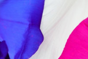 醜いカーニバル～第二次世界大戦後のフランス～「このかわいそうな女性たちは、恐ろしい時代を生き抜こうとしていた」「同じ種族であることが恥ずかしくなります」海外の反応