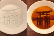 海外「日本人が生み出した絵が浮かび上がる醤油皿が素敵すぎる」