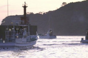 海外「太地町でイルカ追い込み漁が始まるも権利団体からの主だった抗議はなし」