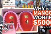 日本には1個50万円もするマンゴーが存在するらしい…？高さの理由に納得！？