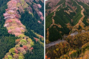外国人が考える”こういう場所に住みたい”リスト　日本のスポットもランクイン
