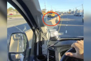 【海外】高速道路で見つけた！小さなモフモフ、あの瞬間を見逃すな！