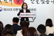 韓国紙「ハン・ドクス "CPTPP加入が望ましい" ... 政権引継ぎ委 "確定したものはない"」韓国の反応