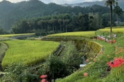 海外「これは私の夢の生活です…今はまだ叶いませんが日本で暮らせるようになりたい」田舎の風景（海外の反応）
