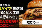 ビルゲイツ「先進国は100％人工肉に移行すべき」→とんでもないことに・・・（海外の反応）