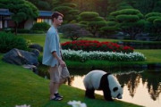 中国人「日本旅行での究極の選択。どっちに泊まる？」　中国人「四方八方からやって来そう」「隅っこで震えながら寝る」