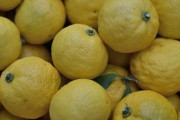 日本の柚子は「YUZU」として海外で高級品！「彼女はユズ博士になる！」「NYでは柚子が見つからない」海外の反応