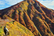 「日本の紅葉が美しすぎて絵画かと思った」親日外国人が風景を愛でるスレ
