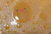 外国人「どうみても生命が宿ってる物を集めてみたｗｗｗｗ」