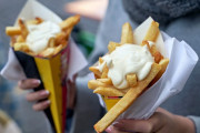 ドイツ人「お前らフライドポテトに何の調味料を使うのが好き？」