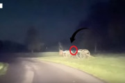 南北戦争跡地に幽霊？ツアー中の車の前を2つの人影が横切り走り去る（アメリカ）